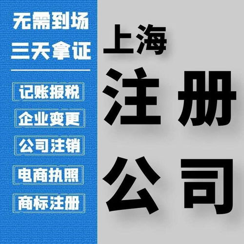 上海普陀区专业营业执照代办 财税代理价格优惠