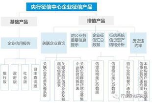 征信行业深度研究报告