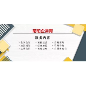 南阳企业管理咨询费用,公司财务外包 税审审计报告